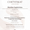 Powiększ obraz: certificate 4