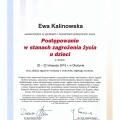 Powiększ obraz: certificate 7