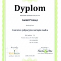 Powiększ obraz: certificate 4