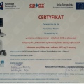 Powiększ obraz: certificate 4