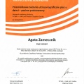 Powiększ obraz: certificate 5