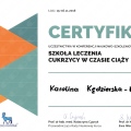 Powiększ obraz: certificate 6