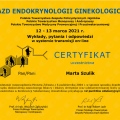 Powiększ obraz: certificate 8