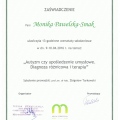 Powiększ obraz: certificate 31