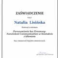 Powiększ obraz: certificate 9