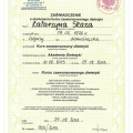 Powiększ obraz: certificate 3
