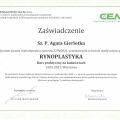 Powiększ obraz: certificate 2