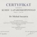 Powiększ obraz: certificate 11