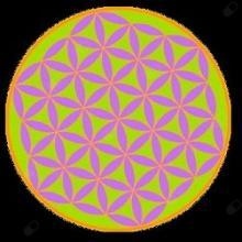 Ośrodek Psychoterapii Integratywnej