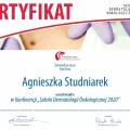 Powiększ obraz: certificate 1