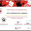 Powiększ obraz: certificate 3