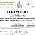 Powiększ obraz: certificate 41