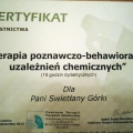 Powiększ obraz: certificate 6