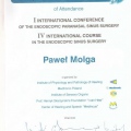 Powiększ obraz: certificate 9