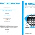 Powiększ obraz: certificate 9