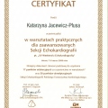 Powiększ obraz: certificate 5