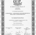Powiększ obraz: certificate 13