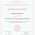 Powiększ obraz: certificate 9