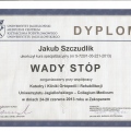 Powiększ obraz: certificate 9