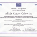 Powiększ obraz: certificate 3