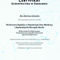 Powiększ obraz: certificate 7