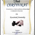 Powiększ obraz: certificate 21