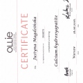 Powiększ obraz: certificate 21