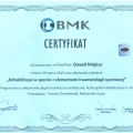 Powiększ obraz: certificate 16