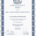 Powiększ obraz: certificate 15