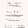 Powiększ obraz: certificate 6