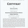 Powiększ obraz: certificate 3