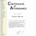 Powiększ obraz: certificate 26