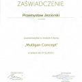 Powiększ obraz: certificate 12