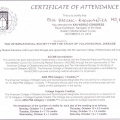 Powiększ obraz: certificate 8