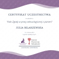 Powiększ obraz: certificate 3