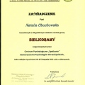 Powiększ obraz: certificate 3