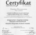 Powiększ obraz: certificate 5