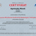 Powiększ obraz: certificate 4