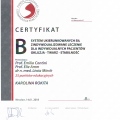Powiększ obraz: certificate 3