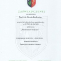 Powiększ obraz: certificate 8