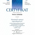 Powiększ obraz: certificate 11