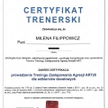 Powiększ obraz: certificate 4