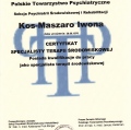 Powiększ obraz: certificate 1