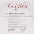 Powiększ obraz: certificate 98