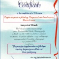 Powiększ obraz: certificate 1