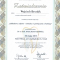 Powiększ obraz: certificate 27