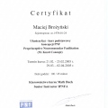 Powiększ obraz: certificate 29