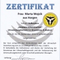 Powiększ obraz: certificate 4