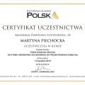 Powiększ obraz: certificate 7