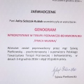 Powiększ obraz: certificate 21